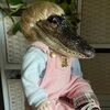loonlaughlin55